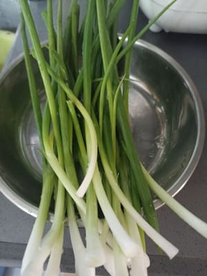 Lavare i cipollotti e tritarli.