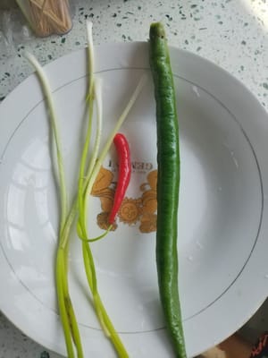1 paprika hijau, 1 paprika merah, 5 gram daun bawang