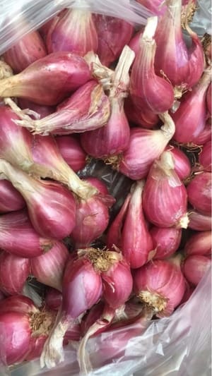 100 g Schalotten oder Schalotten