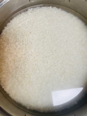 Weichen Sie den Klebreis zunächst 24 Stunden lang in Wasser ein. Sollte das Wasser heiß sein, stellen Sie den Reis unbedingt in den Kühlschrank, da er sonst verdirbt und nicht mehr gar wird.