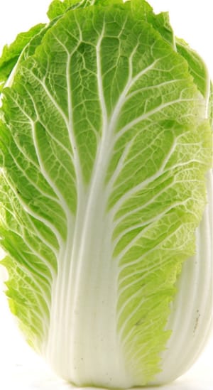 The amount of cabbage depends on the number of people.