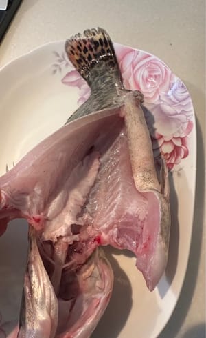 清洗干净龙骨瘀血