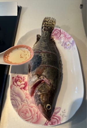 厨房纸擦干水然后全身抹上花生油