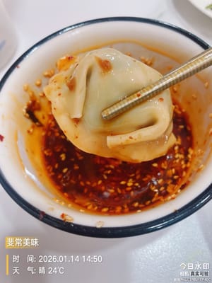 La salsa in questa ciotola di noodles agropiccanti è davvero l'anima del piatto! Dopo averli mangiati avidamente, non ero ancora soddisfatto, così ho cucinato qualche raviolo da intingere. Inaspettatamente, la salsa agropiccante e saporita ha ricoperto i ravioli, e ogni boccone era una delizia completamente diversa: una sorpresa davvero inaspettata.