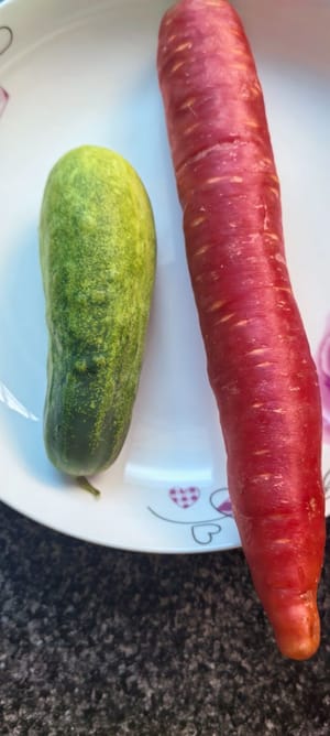 黃瓜胡蘿蔔各110克