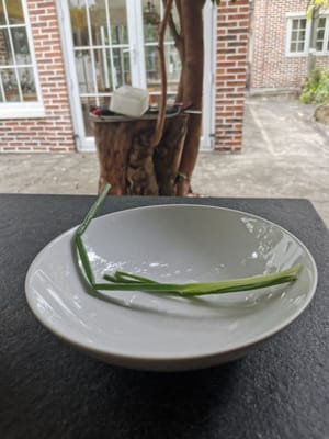 Tallos de cebolleta cortados en trozos pequeños