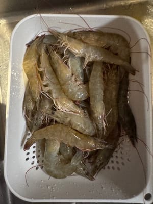 鮮蝦一磅