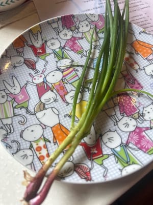蔥