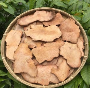 50 g de Smilax glabra