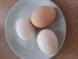 皮料；3个鸡蛋