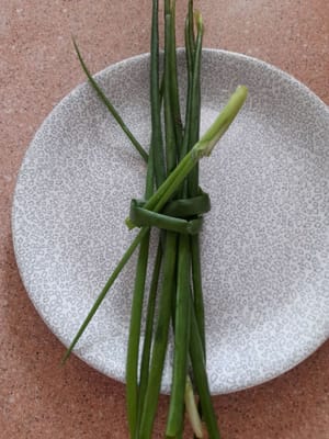 葱秆