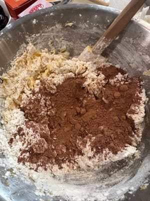 Seguido de cacao en polvo