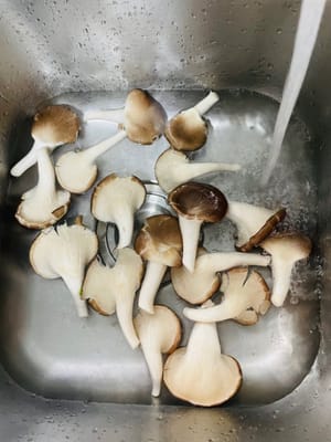 เตรียมเห็ดนางรม: นำเห็ดนางรมไปล้างน้ำให้สะอาด หั่นเป็นชิ้นเล็กๆ ด้วยมือ พักไว้ให้สะเด็ดน้ำ