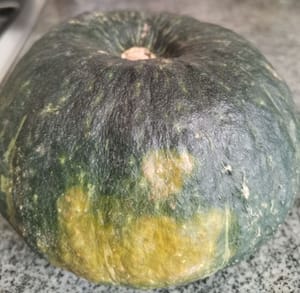 calabaza