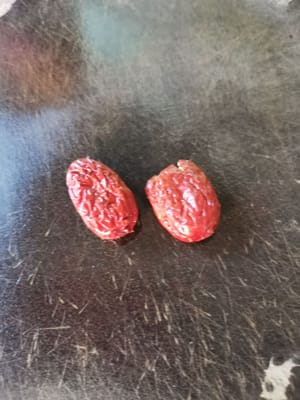 Lave bien los dátiles rojos y luego tritúrelos hasta que queden planos (para que sea más fácil quitar las semillas de los dátiles).