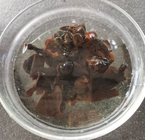 Lave bien los hongos oreja de madera secos y luego sumérjalos en agua fría durante 20 minutos.