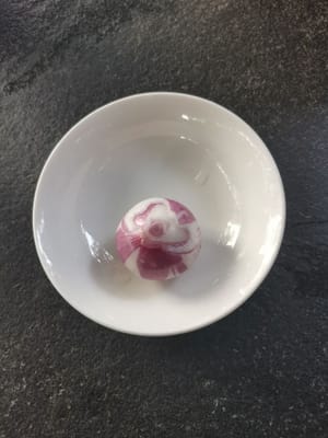 赤玉ねぎの種