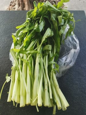 ネクタイ（空芯菜）