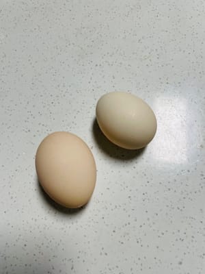 100 g de líquido de huevo
