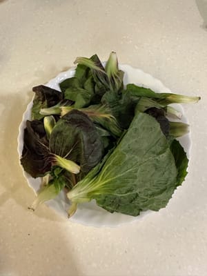 Salad leaves