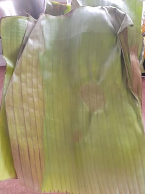 香蕉叶