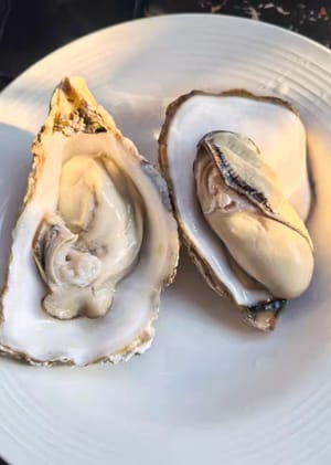 two oysters