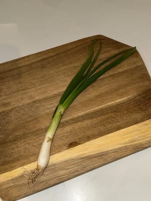 oignon vert