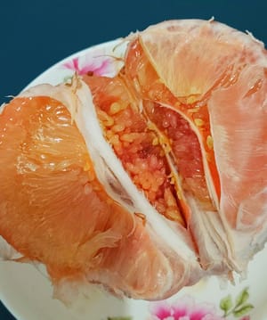 Ich mag keine Grapefruit