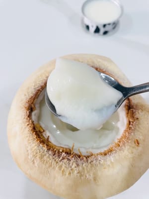 Gelée de noix de coco lactée (avec des pointes d'ouverture en noix de coco)
