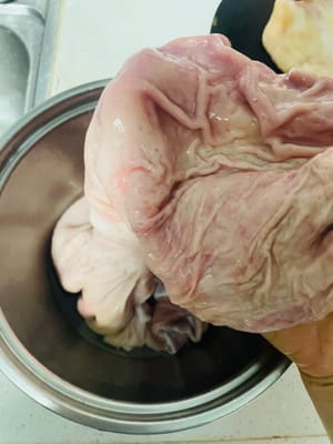 豚バラ肉の煮込み：まず豚バラ肉を裏返してきれいにし（小麦粉か塩でこすって粘液を取り除きます）、湯通しして煮汁に入れます。強火で沸騰させ、弱火にして40～60分煮込みます。豚バラ肉の火の通り具合は箸で判断できます。刺さりやすく、少し歯ごたえがあります。長く煮すぎると木質化します。火を止めた後、さらに30分ほど浸すと美味しくなります。
〜好きな人はいますか？私は家で豚バラ肉と豚腸の煮込みが好きです〜もしあれば、ワインを用意してください。おかずは私が用意します。肉が煮えたら、豆腐、千枚通し、レンコンなどを加えて煮込み続けます。お酒を飲みながら楽しくおしゃべりしましょう😉