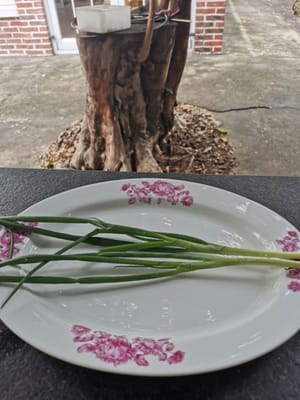 cut the spring onion stalks lengthwise