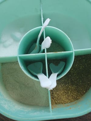 소금 1큰술, 옥수수전분 1큰술, 후추가루 1큰술