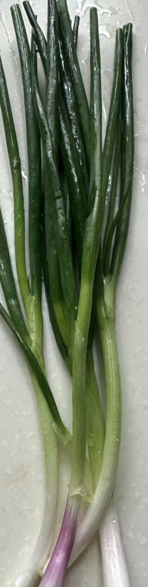 파 50g