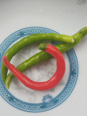 녹색 및 빨간색 고추 50g