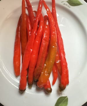 100 g di peperoncini sottaceto