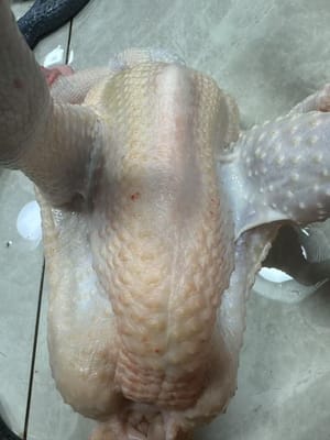 Un pollo pesa 1 kg.