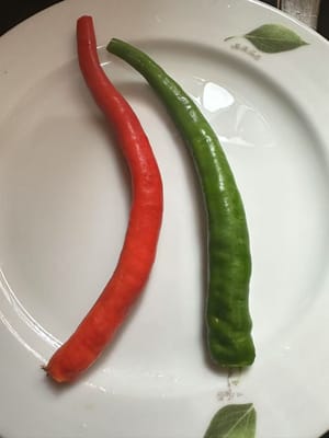 un peperone verde e un peperone rosso