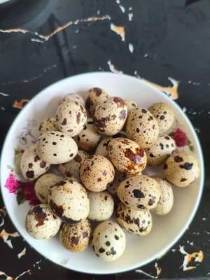 100g quail eggs