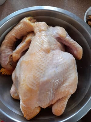 medium sized chicken tail
