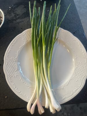 onion optional