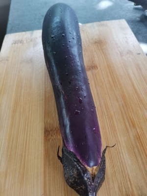 紫茄子莖