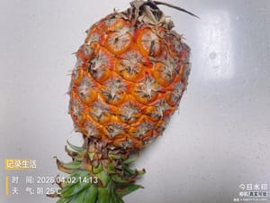 處理菠蘿:
菠蘿去皮去眼,切成塊就行,嫌麻煩直接讓賣菠蘿的老闆幫你處理好,回家洗洗就能用。