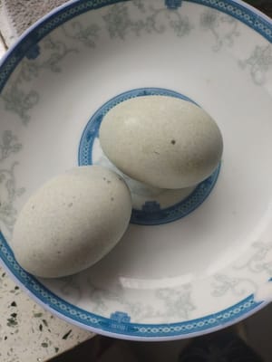 dua telur yang diawetkan