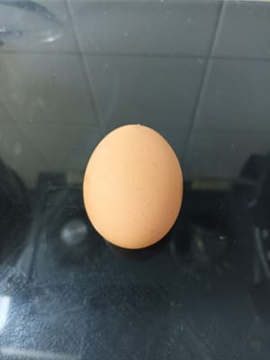 계란
