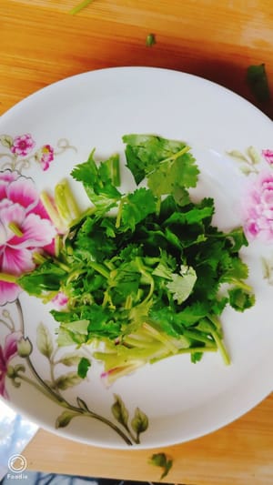 滷豬耳朵切細絲，香菜切小斷。