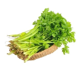 Celery