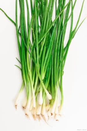 Spring onion