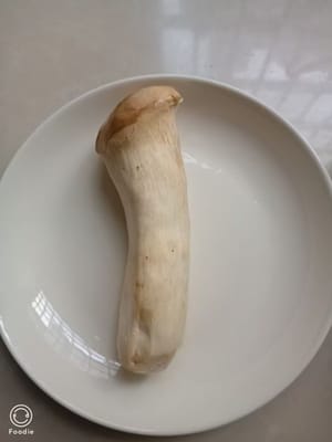 杏鲍菇一根