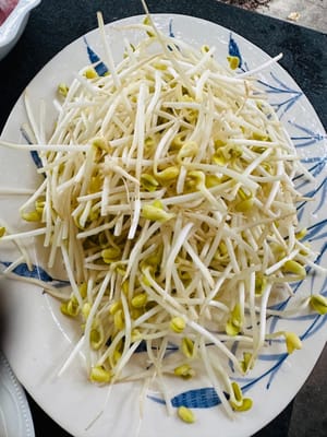 豆芽