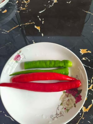 青红辣椒各两个
